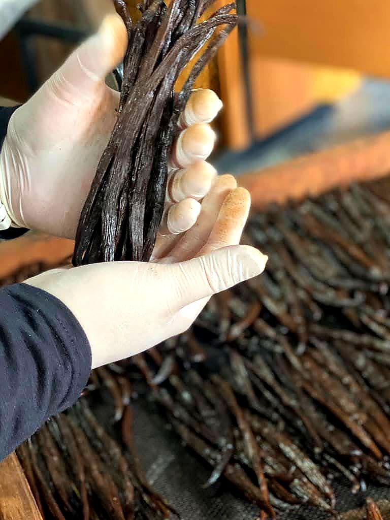 Tri artisanal des gousses de vanille